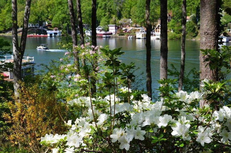 Lodge On Lake Lure Esterno foto