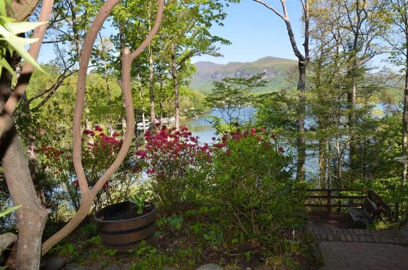 Lodge On Lake Lure Esterno foto